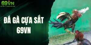 Đá Gà Cựa Sắt 69VN - Sân Đẳng Cấp Dành Cho Người Đam Mê
