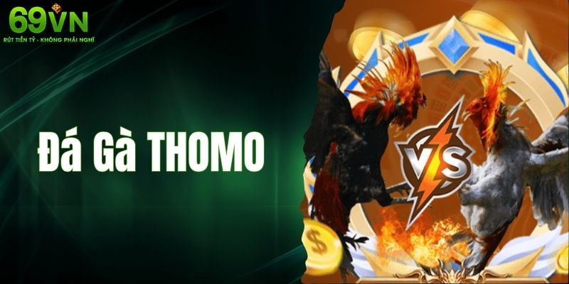 Đá Gà Thomo – Sân Chơi Cá Cược Thú Vị Hàng Đầu Hiện Nay
